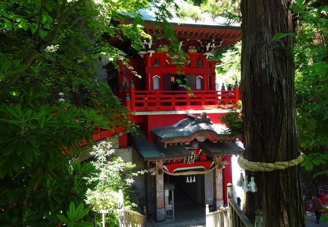 🏯 나카노 부동존 (다이쇼지) 이미지 1